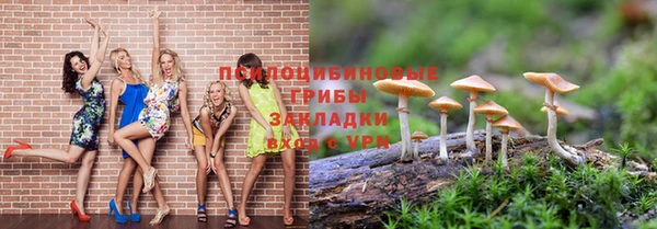 гашик Абинск