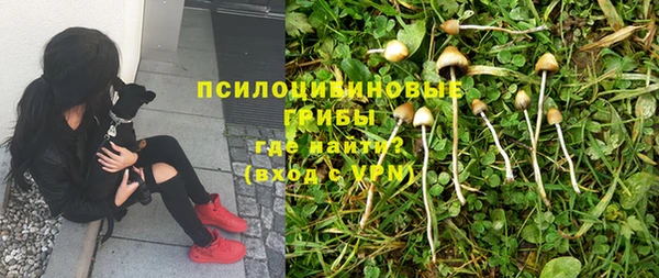стафф Абдулино