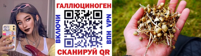Галлюциногенные грибы мицелий  Почеп 